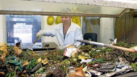 Megaproblem Mikroplastik: Plastiktüten, Flaschen und sonstige erkennbare Fremdkörper können aus dem Biomüll entfernt werden, wenn auch mühsam. Dennoch gelangen viel zu viele Mikroplastik-Teilchen in den Kompost und die Natur. 