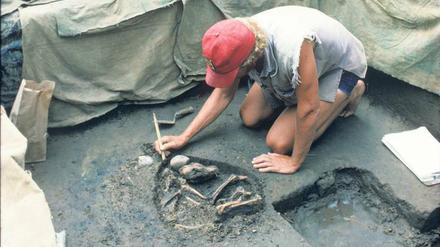 Kalter Hund. Freilegung eines 9900 Jahre alten Skeletts in Illinois. 