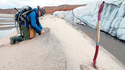 Sand, interessant. Kurt Kjaer sammelt Proben vor dem Hiawatha-Gletscher. Sie deuten auf eine gar nicht eisige Episode an dieser Stelle. F.: S. Funder