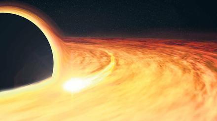 Kurz vorm Einlochen. Im Zentrum von Galaxien wie der Milchstraße vermuten Forscher supermassive schwarze Löcher, die selbst Sterne (hier einen weißen Zwerg) verschlucken. Das schlussfolgern Forscher aus der dabei entstehenden Strahlung. 