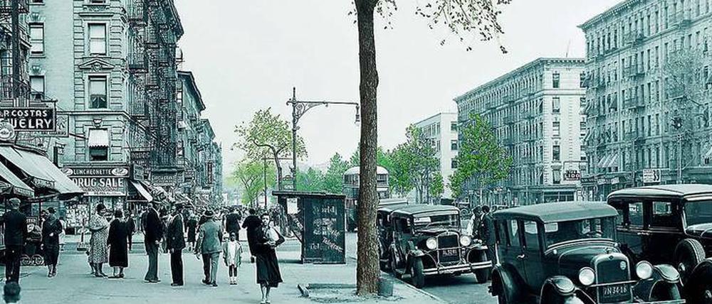 Aufbäumen. New York nahm sich Berlin zum Vorbild, um Straßen grüner und gesünder zu gestalten. Heute kämpfen beide Städte um den Erhalt der Stadtbäume. 