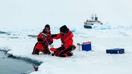 Pol-Position. Das Forschungsschiff „Polarstern“ wird in diesem arktischen Winter im Packeis eingeschlossen, über den Nordpol bis nach Spitzbergen driften und dabei Forschern als Basisstation dienen, die mehr über das Klima dort erfahren wollen. 
