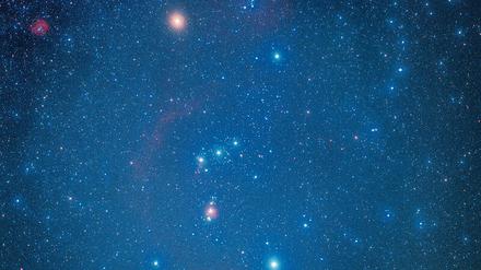 Sternenlicht. So hell wie in diesem Bild strahlt Orions Beteigeuze (orangen-gelblich, oben) derzeit nicht. Vielleicht wird er dies bald – in kosmischen Zeitmaßstäben, also vielleicht nächste Woche, vielleicht in 1000 Jahren – umso mehr tun. Und dann fast ganz verschwinden.