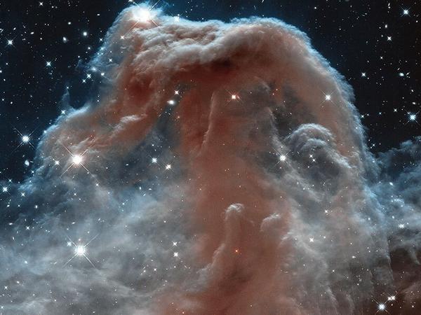 Der Pferdekopfnebel. Aufgenommen im nahen Infrarot. Damit sind Einblicke in stellare Nebel und deren innere Struktur möglich.