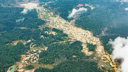 Luftbild von gerodeten Goldabbaugebieten im Regenwald Guyanas. Foto: Daniel Rosengren/ZGF