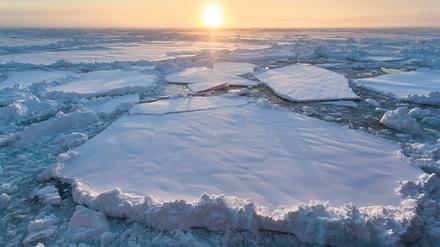 Eis ohne Bär. Wenn sich das Klima weiter so erwärmt, werden die Eisschollen im arktischen Meer ab Ende dieses Jahrtausends wohl für immer frei von Eisbären bleiben. Das größte Landraubtier der Welt droht von der Erde zu verschwinden.