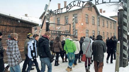 Eine Gruppe von Jugendlichen geht durch das Tor des ehemaligen Konzentrationslagers Auschwitz. Den Torbogen bildet der Schriftzug "Arbeit macht frei".