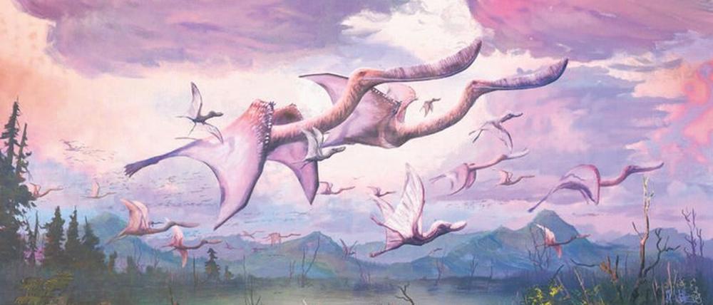 Illustration von jungen und erwachsenen Ptersosauriern.