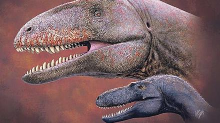 Scharf. Wen diese Zähne erwischten, dem tat bald kein Zahn mehr weh. Der Kleine ist, zum Größenvergleich, übrigens ein Vorfahr von T. rex.