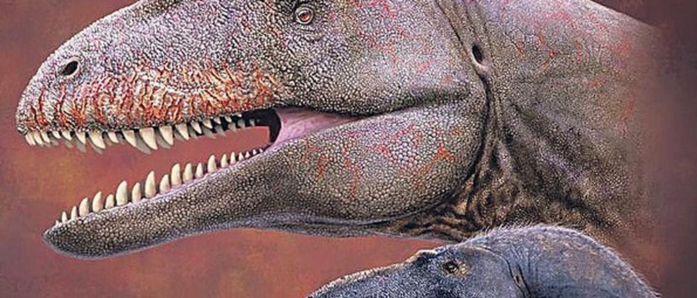 Scharf. Wen diese Zähne erwischten, dem tat bald kein Zahn mehr weh. Der Kleine ist, zum Größenvergleich, übrigens ein Vorfahr von T. rex.