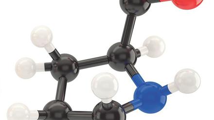 Organisch, essbar und preisträchtig: Prolin ist das Lieblingsmolekül des neuen Chemie-Nobelpreisträgers Benjamin List.