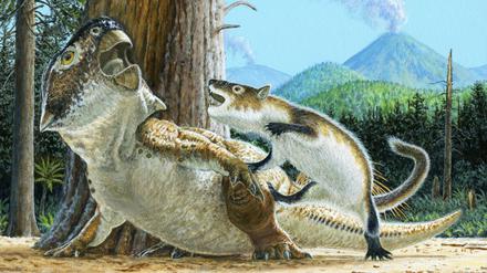 Illustration der möglichen prähistorischen Kampfszene, unmittelbar bevor die beiden Tiere bei einem Vulkanausbruch verschüttet wurden.