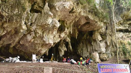 Der "wundervolle" Fundort der menschlichen Fossilien auf Sulawesi