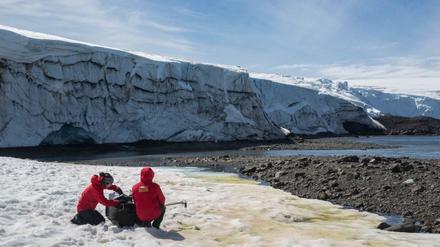 Die Forschenden messen, wie viel Sonnenlicht der Schnee vor dem Collins-Gletscher auf King George Island reflektiert.