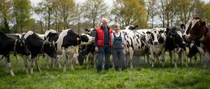 Kühe stehen auf der Weide vom Milchviehbetrieb mit Hartmut (l) und Sigrid Seetzen in Varel, Niedersachsen.