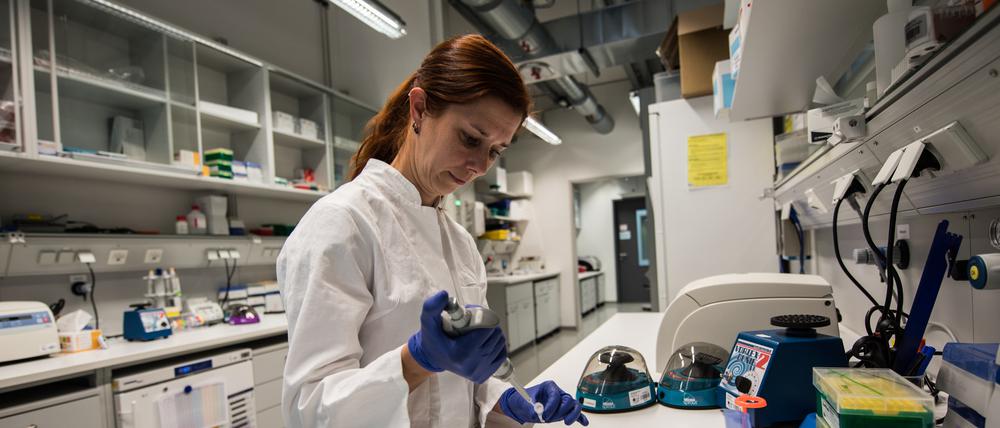 Eine technische Assistentin bereitet mit der Pipette Genproben zur DNA-Sequenzierung vor.
