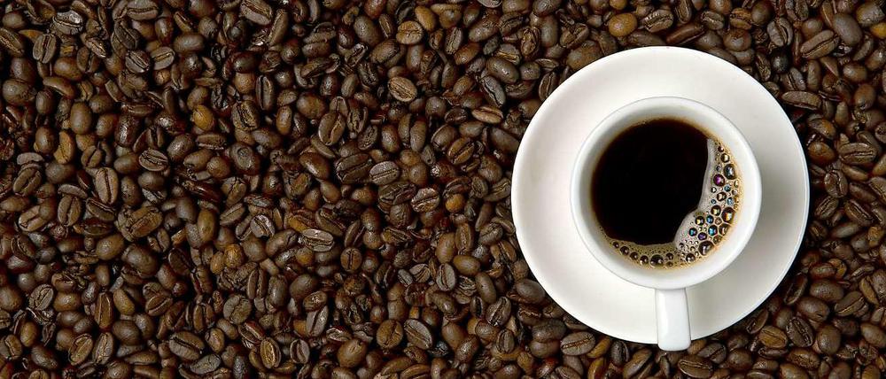 Koffein hilft gegen Stress