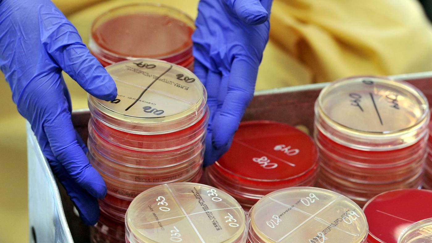 Resistente Keime Todbringendes Souvenir