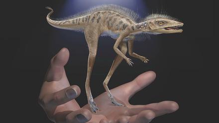 Maßstabsgetreue Illustration des neu entdeckten Reptils auf zwei menschlichen Händen