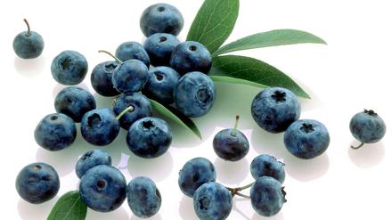 Lecker und gesund. Blaubeeren sind eine Quelle für Flavonoide.