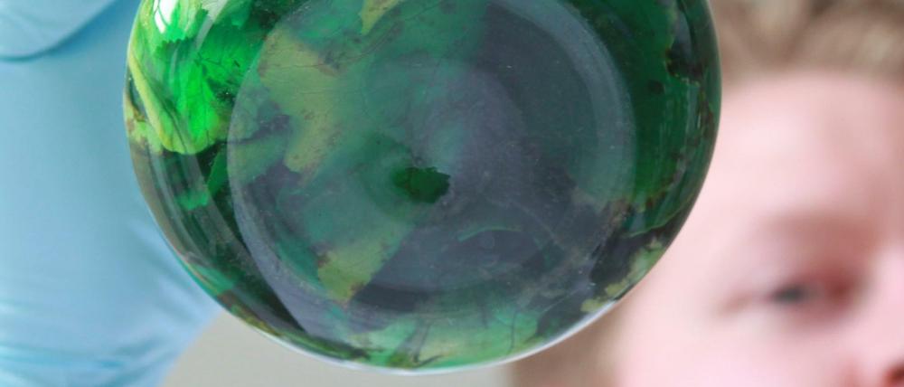 Ein Chemiker schwenkt ein Glasgefäß mit einer Lebensmittelprobe