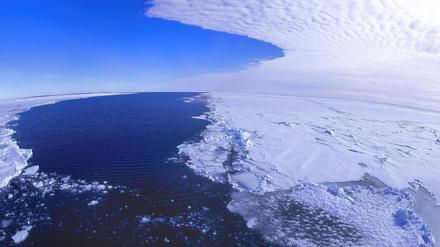 Schelfeis wird von Gletschern auf dem Festland gespeist. Am Rand brechen Eisberge ab.
