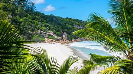 Ein Strand auf den Seychellen.