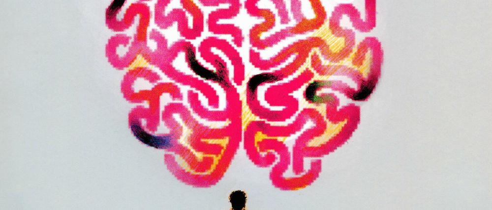 Im Labyrinth des Ich. Wir erleben uns selbst als "ganz", als homogene Persönlichkeit. Aber das ist eine Illusion des Gehirns, sagen Forscher. 