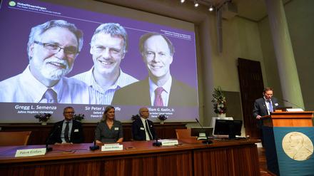 Die drei Gewinner des Medizin-Nobelpreises 2019, projiziert auf eine Leinwand: Gregg Semenza , Peter Ratcliffe und William Kaelin (von rechts nach links). 