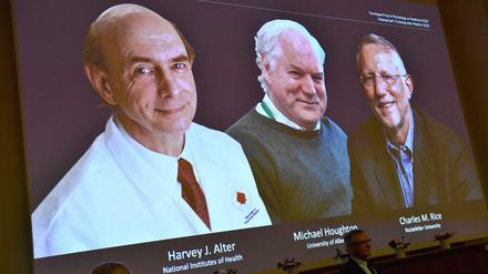 Bekanntgabe in Stockholm: Der Nobelpreis für Medizin geht an drei Wissenschaftler, die wegbereitende Arbeiten für die Bekämpfung des Hepatitis-C-Virus geleistet haben.