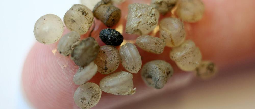 Auch im Ostseesand von Warnemünde finden sich Mikroplastik-Teilchen, die letztlich auch über die Nahrungskette in den Menschen gelangen. Ob sie gesundheitliche Folgen haben, ist allerdings unbekannt. 