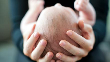 Der Kopf eines Neugeborenen ruht in den Händen einer Erwachsenen.