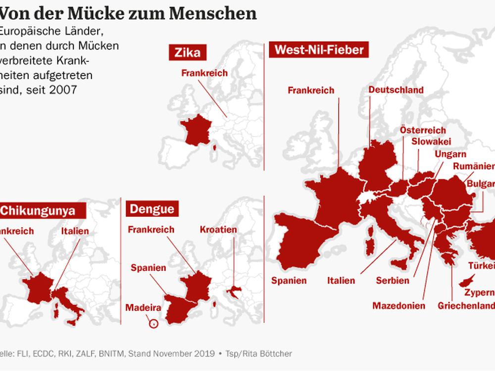 Wie Viele Mücken Gibt Es Auf Der Welt www.tagesspiegel.de