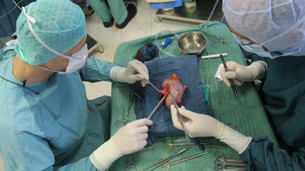 Hilfe zum Überleben. In der Klinik für Urologie am Universitätsklinikum Jena ist bei einer Operation einem Spender eine Niere entnommen worden.