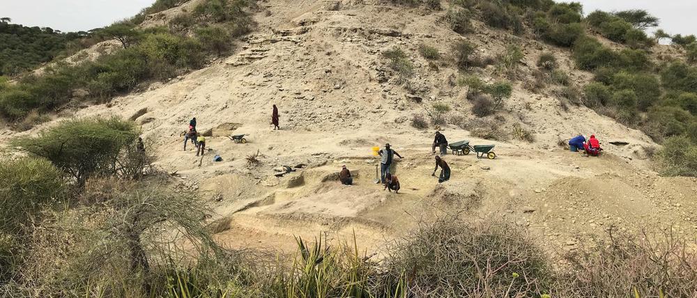 Forscher graben im Norden Tansanias Steinwerkzeuge und Fossilien aus.