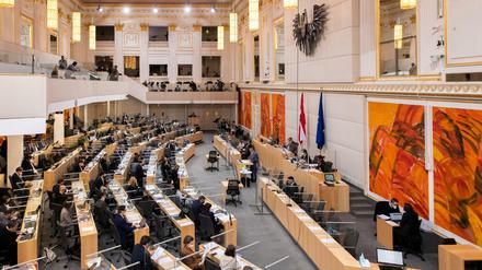 Österreichs Nationalratsabgeordnete während der entscheidenden Sitzung.