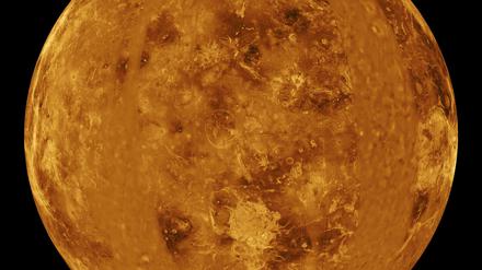 Auf der Venus herrschen extreme Temperaturen und hoher Druck. Ob dort irgendeine Form von Leben existieren kann, ist umstritten. Und auch, ob ein seltenes Gas, das in der Atmosphäre gefunden wurde, auf Lebensprozesse hindeutet.
