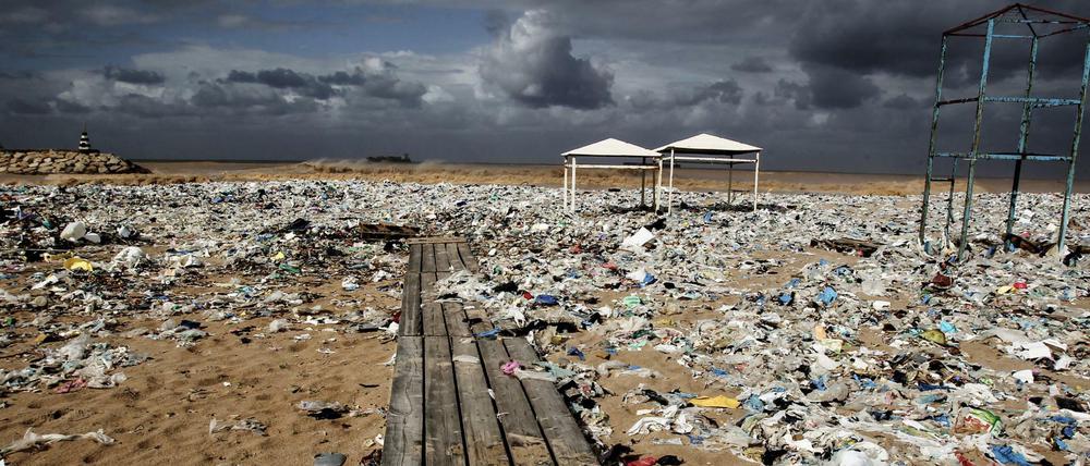 Ein Teil des Plastikmülls der über viele Jahre im Meer treibt, wird bei auflandigen Winden an Strände gespült. Säuberungsaktionen sind kostspielig, aber nicht so teuer wie die verursachten Schäden.