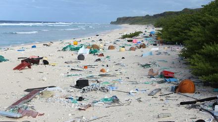 Plastikmüll sammelt sich am Strand der Insel Henderson im Südost-Pazifik nahe Neuseeland an. 