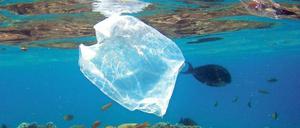 Wenn es den politischen Willen gäbe, ließe sich die Plastikflut erfolgreich bekämpfen, sagen die Forscherinnen.
