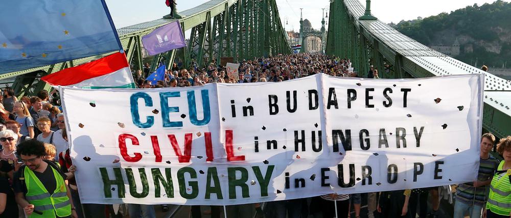 Demonstranten stehen auf einer Brücke in Budapest und halten ein Transparent mit der Aufschrift CEU in Budapest, Civil in Hungary, Hungary in Europe.