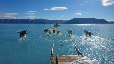 Die Forschenden befürchten, dass das Quecksilber im Schmelzwasser des Grönländischen Eisschilds Auswirkungen auf die arktischen Ökosysteme hat.