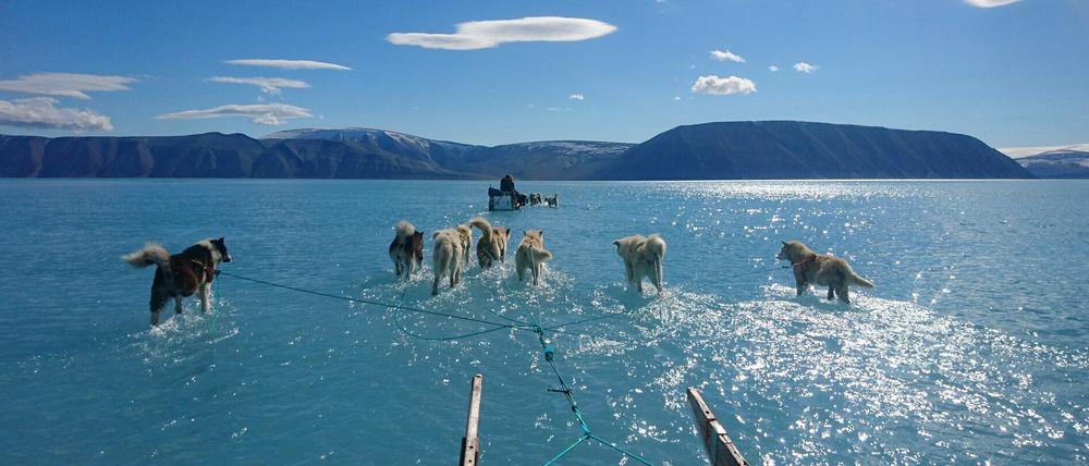 Die Forschenden befürchten, dass das Quecksilber im Schmelzwasser des Grönländischen Eisschilds Auswirkungen auf die arktischen Ökosysteme hat.