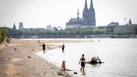 Menschen baden bei niedrigem Wasserstand im Rhein, im Hintergrund ist der Kölner Dom zu sehen.
