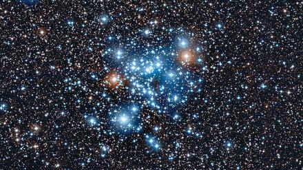 Im Sternbild NGC 3766 spürten die Astronomen die neue Sternart auf. 