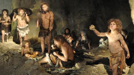 DNA-Spuren weisen drauf hin, dass die Neandertaler (Foto) auch mit den Denisova-Menschen Nachfahren zeugten. 