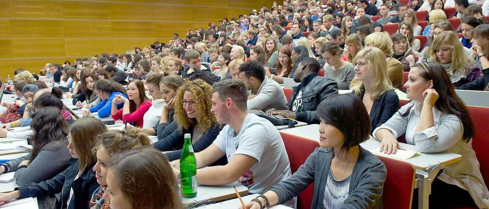 Der Bafög-Durchschnittssatz für Studierende beträgt 446 Euro.