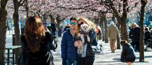 Voller Park trotz Coronavirus-Pandemie: Spaziergänger in Stockholm 