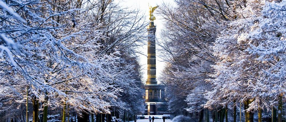 Spaziergänge durch schneebedeckte Parks - hier der Tiergarten aus dem Archiv - werden in Berlin und Potsdam immer seltener möglich.