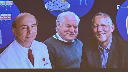 Die Nobelpreisträger Harvey Alter, Michael Houghton und Charles Rice